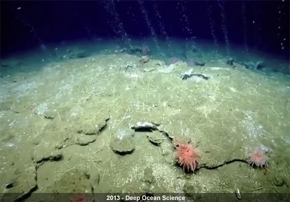 2013---Deep-Ocean-Science.jpg